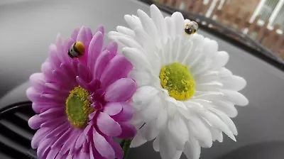 Cute Gerbera Daisy Dashboard Car Flower For VW Beetle Camper Vase + FREE GIFT • £9.99