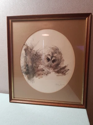 £20 • Buy Mads Stage Print Natugle Strix Aluco ( Owl) Framed 38.5cm X 35cm