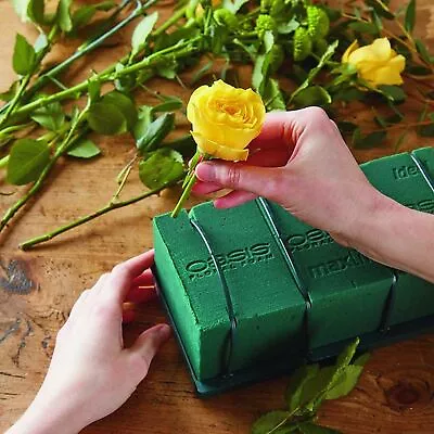 Green Wet Foam Oasis Brick Ideal For Fresh Floral Crafts Flower Arranging Oasis • £5.29