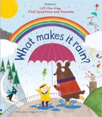 Lift-the-Flap First Questions And Answers What Makes It Rain? By Katie DaynesC • £2.88