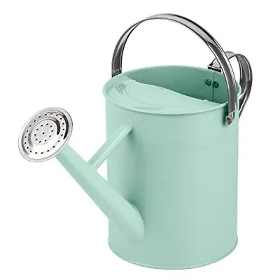 Watering Can - Metal Watering Can With Removable Spout Perfect Plant Watering C • $29.99