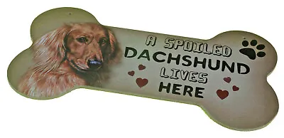 Dachshund Longhair Tan Dog Light MDF Bone Design Sign Plaque Perfect Gift • $7.45