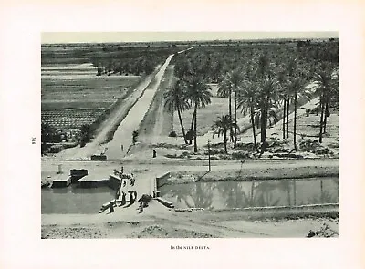 Egypt In The Nile Delta Old Print Picture Vintage 1954 PP#318 • £3.49