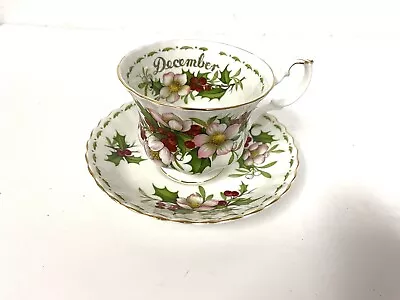 $32.99 • Buy Royal Albert Bone China Flower Of The Month December Christmas Rose Cup & Saucer