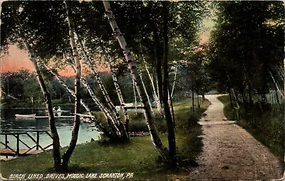 1912 Scranton Pennsylvania PA Moosic Lake Birch Trees Along Drive Postcard • $9.99