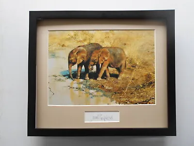 David Shepherd Print 'African Babies' Elephants -  Signature In The Mount FRAMED • £55.50