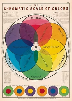 Cavallini & Co. Chromatic Scale Of Colors Decorative Paper Sheet / Poster • $10.95