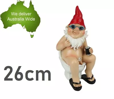 26cm RUDE GNOME SIT ON TOILET Garden Naughty Naked Body Ornament Statue Father • $32.99