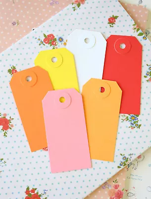 Small Colour Luggage Tags 25pc Reinforced Blank Card Labels DIY Wedding Craft • £5.99