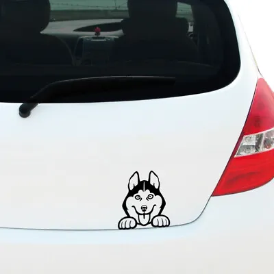 £2.99 • Buy 150mm Peeking HUSKY Vinyl Decal Sticker Car Window Bumper Pet Dog Puppy Rescue