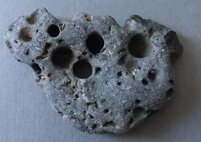 Dark Grey Hag Stone - Odin Witch Amulet- Rough Sea Tumbled / W Hole Found Roker • £6.99