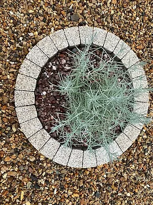 90 Cm Cream Brick Circle Ring Tree Surround Grass Border Edging Granite Stones • £105