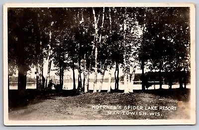 Manitowish Wisconsin~Koerner's Spider Lake Resort~Birches On Lake~c1910 RPPC • $15