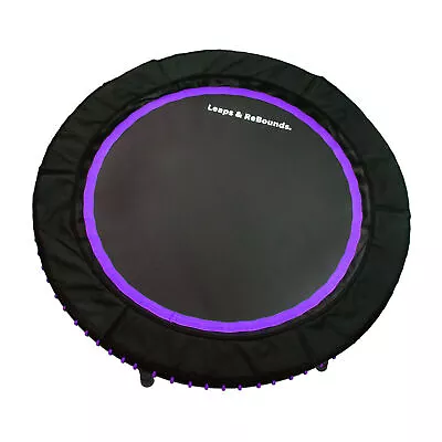 LEAPS & REBOUNDS 48  Mini Fitness Trampoline & Rebounder Gym Equipment Purple • $229.99