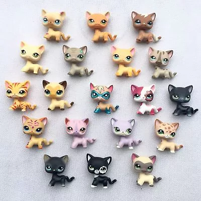 £15.59 • Buy 5pcs Littlest Pet Shop Toy Bobble Head 1 Super Hero Cat +4 Random Short Hair Cat