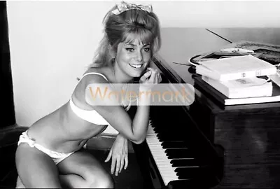 CATHERINE DENEUVE In 1962 TAN BRA & PANTIES ** Pro Pigment Photo (8.5 X11 ) • $24.50