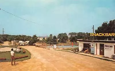 Ocean View Delaware Pine Tree Camp Site Swimming Pool Vintage Postcard AA83280 • $6.75