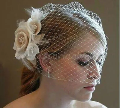 Women's Champagne Flower Fascinator Wedding Bridal Birdcage Face Veil Stock 1PCS • $10.99