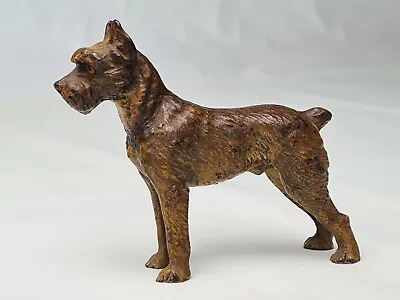 Antique Austrian Cold Painted Bronze Terrier • £150