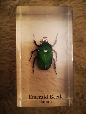 National Geographic Insect In Resin Emerald Beetle Japan Vintage  • $7.34