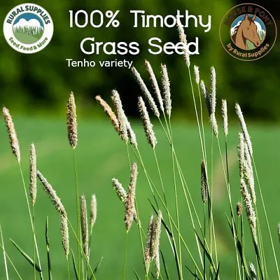 100% Timothy Grass Seed¦Rabbits¦Tortoise¦Horses¦Guinea Pigs¦Small Pet¦Paddock • £203.50