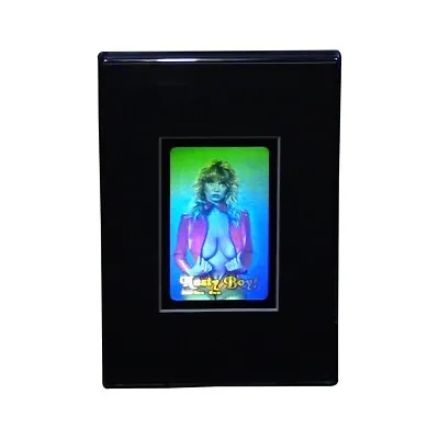 3D Holo Babe Stereogram 3D Hologram Picture DESK STAND Embossed Type Film • £38.56