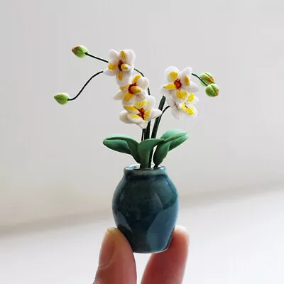 Dollhouse Miniatures 1:12 Scale Vintage Porcelain Flowerpot Phalaenopsis Orchid • $11.99