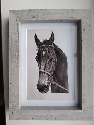£1.99 • Buy Horse Picture Gift 6x4  Unframed Photo Print Of Original Drawing Equine Animal 