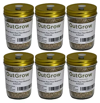 BRF Jars Brown Rice Flour Mushroom Substrate (6 Pack) • $41.25