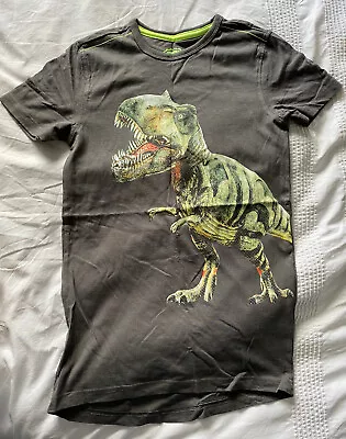 Boys Grey Dinosaur T-Shirt Blue Zoo Size 8-9 Years • £3.95