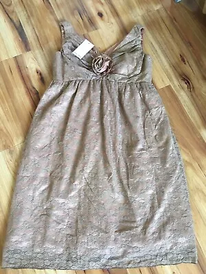 Ladies Occassion Dress   Bnwt  Maternity Wear Various Sizes Available  • £10