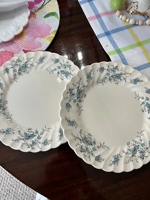 Set Of 2 Vintage Myott Staffordshire Forget Me Not Hand Engraved Plates 10  • $18.99