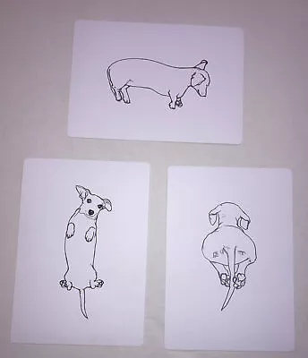 Sausage Dog Line Drawing Dachshund Wiener Dog Signed Bryony Fripp Pet Art • $22