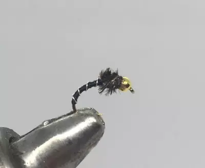 One Dozen (12) - Tungsten Beadhead Zebra Midge - Black/Peacock - Nymph • $14.99