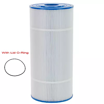 For Astral Hurlcon ZX150 Cartridge Filter Element Pool Filter Free Shipping AU • $99.99
