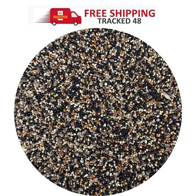 Conditioning Canary & Finch Seed Mix For Cage & Aviary Birds FREE Delivery • £6.99