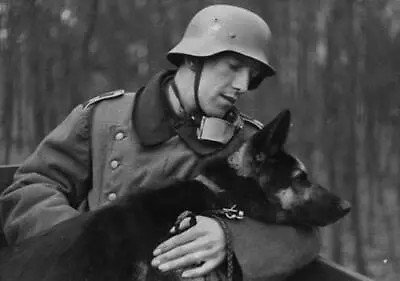 £4.85 • Buy Wehrmacht Soldier With German Shephard Guard Dog WW2 WWII 4x6