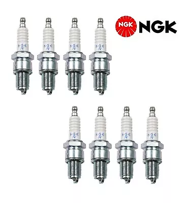 8PCS NGK Resistor Spark Plugs Fit Audi 4000 Fox/ BMW 2500 3.0Si 3.0CSL 528i • $29.20