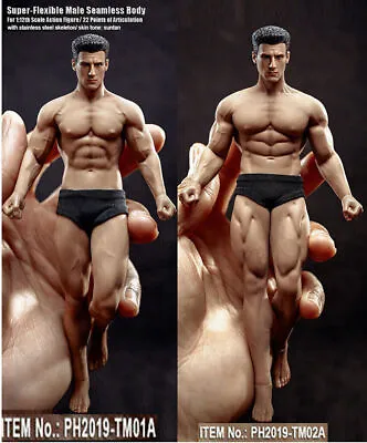 TBLeague PHICEN 1/12 TM01A TM02A Male Seamless SUNTAN Body 6 Figure Body W /Head • $37.59