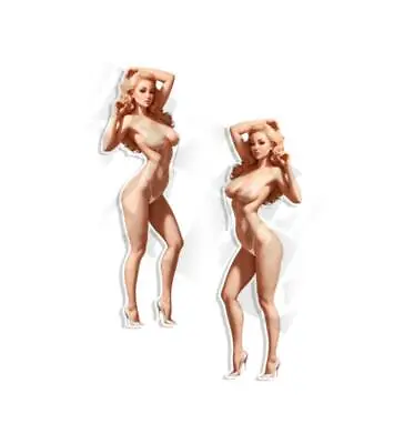 Vintage Pin Up Sticker Art Sexy DECALS Garage Stickers Helmet Decal LILY Pose 3 • $14.99