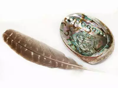 Large Shell & Feather For Smudging | Sustainably Sourced 7  Abalone Shell And 10 • £13.46