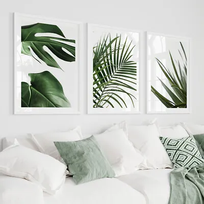 Set Of 3 Botanical Tropical Wall Art Prints Bedroom Living Room Posters Pictures • £11.99