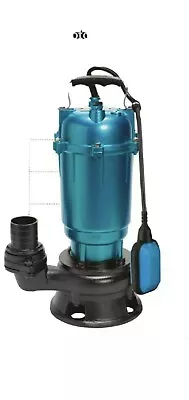 £129 • Buy Submersible Sewage & Flood Pump - 750w /2  - & 10m Hose  - INSTANT DESPATCH