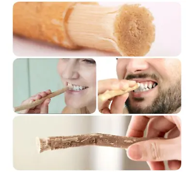 Miswak Natural Toothbrush  Siwak  Herbal Sewak 40G  Arak Oud عود الأراك • $11.99