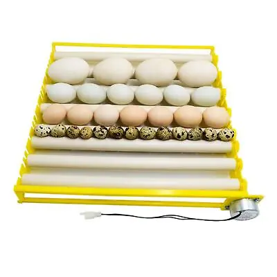 Egg Incubator Tray 360° Rotary Automatic Egg Turner Duck Quail 220V • £29