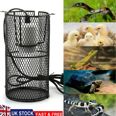 £16.99 • Buy Reptile Vivarium Light Lamp Bulb Heat Guard Reptiles Lighting Heating Tank Cage