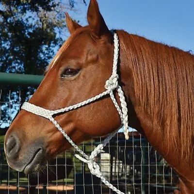 Martin Saddlery Amazing Mule Tape Halter With Lead  • $45.99