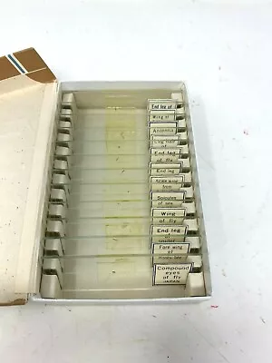 Vintage Compass No. 6005 Organs Of Insect Microscope Scientific Prepared Slides  • $17.99