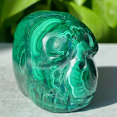 256G Natural Malachite Quartz Crystal Skull Carved Stone Skeleton Ghost Head Hea • $0.99