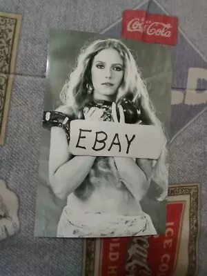 Eve Plumb Beautiful Gorgeous Glossy B&w 4x6 Photo Brand New • $4.99